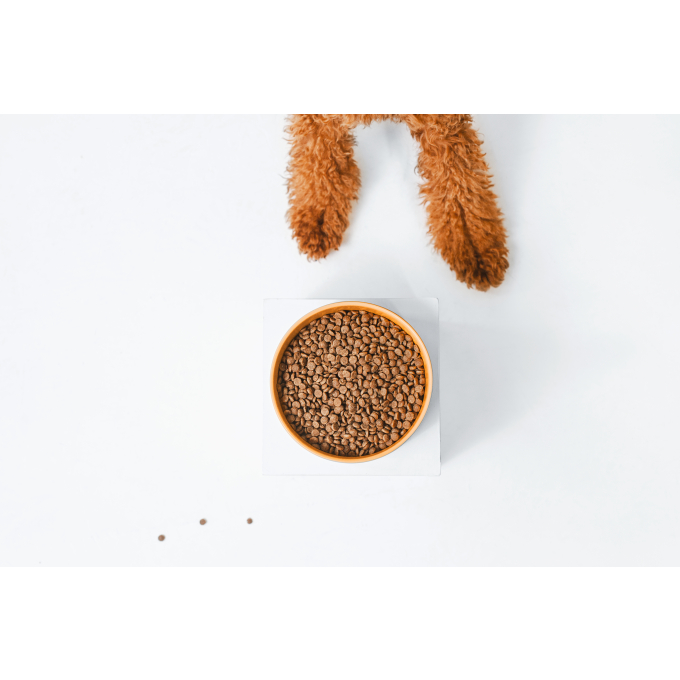 Red Coat Grain Free Salmon Adult Droogvoer voor honden van kleine rassen - 3