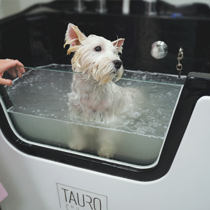 Pet ozone bath, with MILK SPA program, IONIC technology - 3