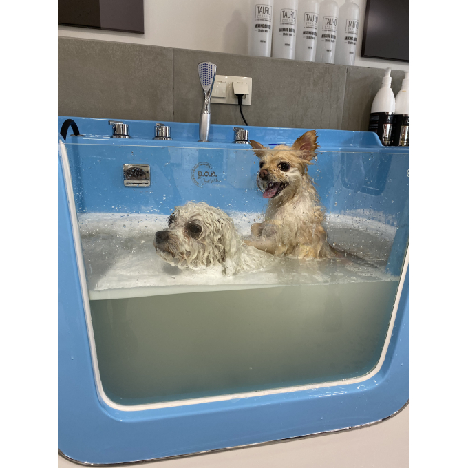 Ozone bath for pets , with MILK SPA program, IONIC technology - 4