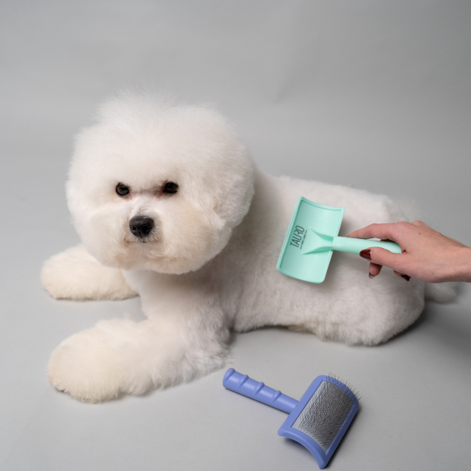 plastic brush - 7