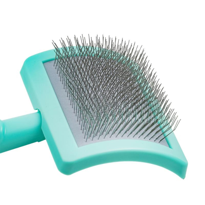 plastic brush - 2