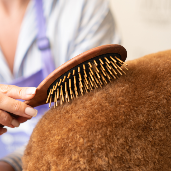 Brush, pear wood - 4