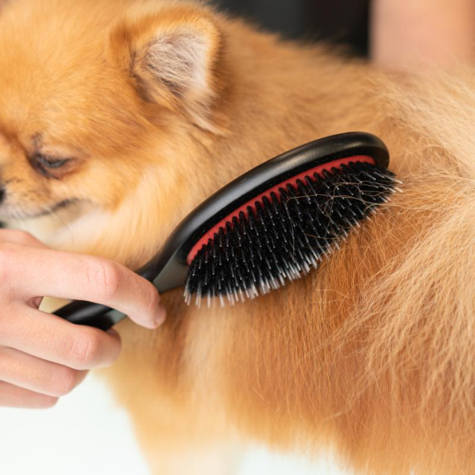 Brush, beech wood, 16 mm boar bristles with nylon teeth, black, oval shape - 4