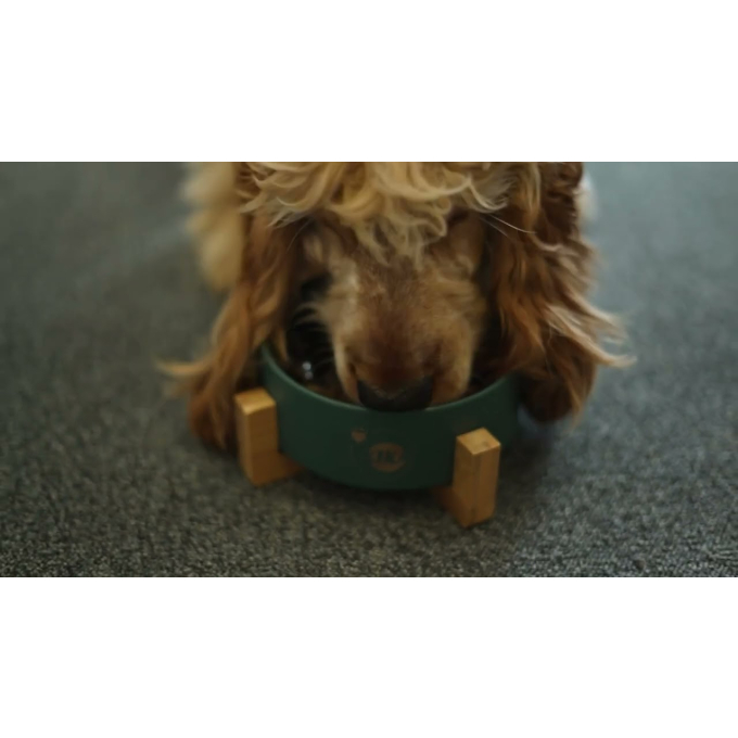 Red Coat complementary feed - soup for adult dogs of all breeds with salmon and tuna - 9