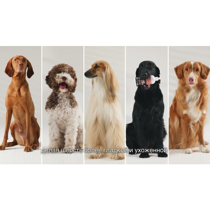 аккумуляторный выпрямитель шерсти для животных с технологией отрицательных ионов - 6