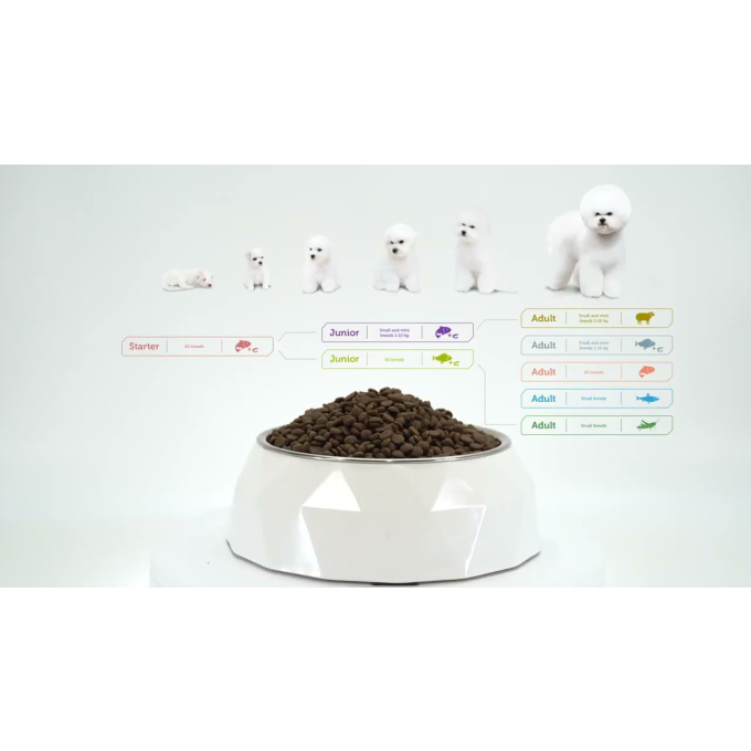 complementary grain free feed – snacks for adult dogs with white fish - 6