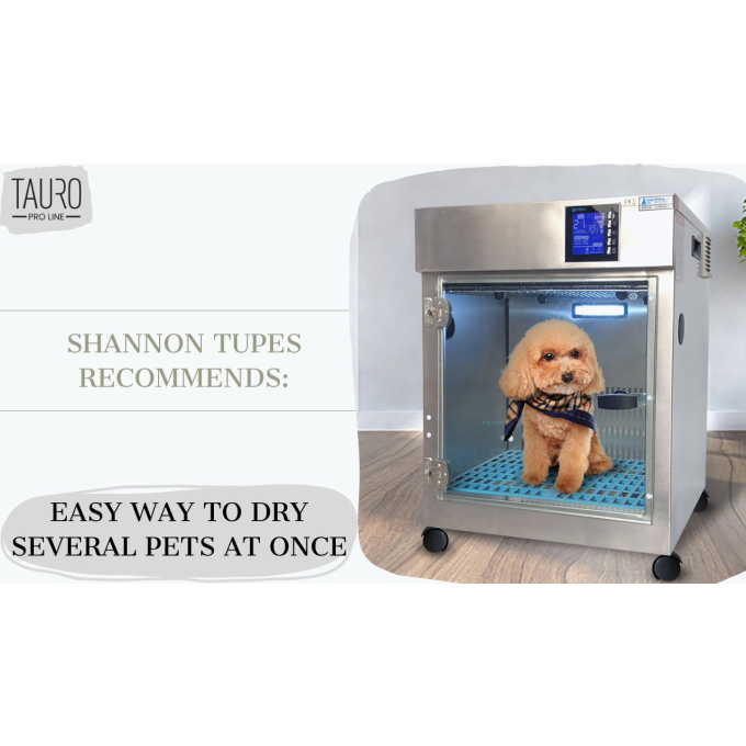 Dog drying machine online