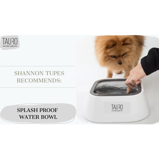 bowl for water - 7