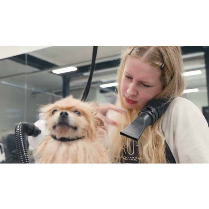 smart pet dryer - 9