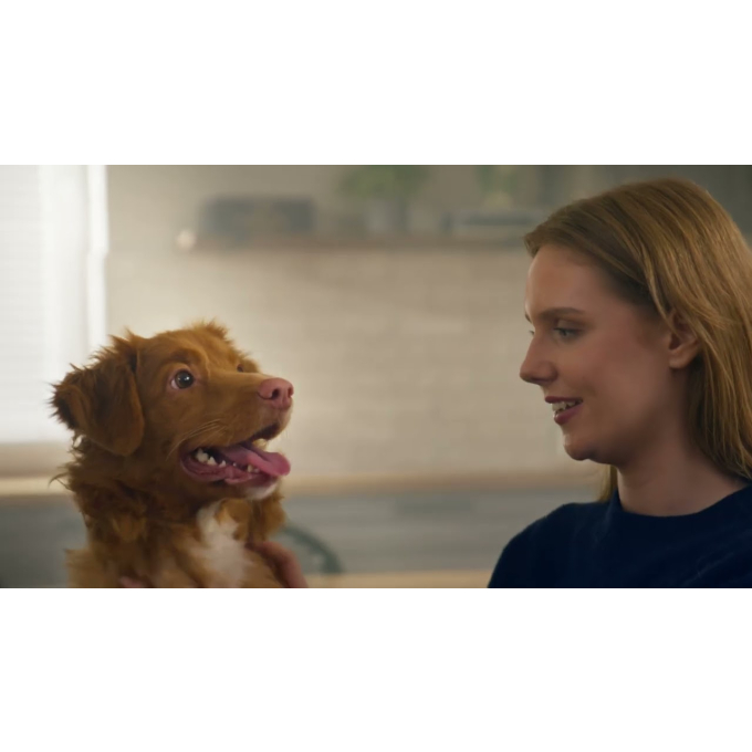 7in1 pet grooming kit with pet hair vacuum - 10